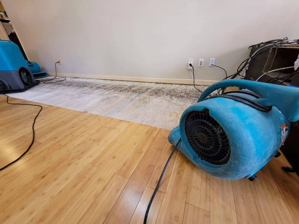 Professional Ceiling Water Damage Repair technician working in Stuart, IA